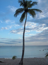 Bayahibe