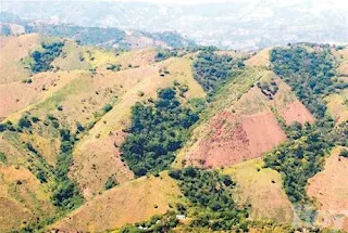 Resultado de imagen para fotos de la Cordillera central en RD. deforestada