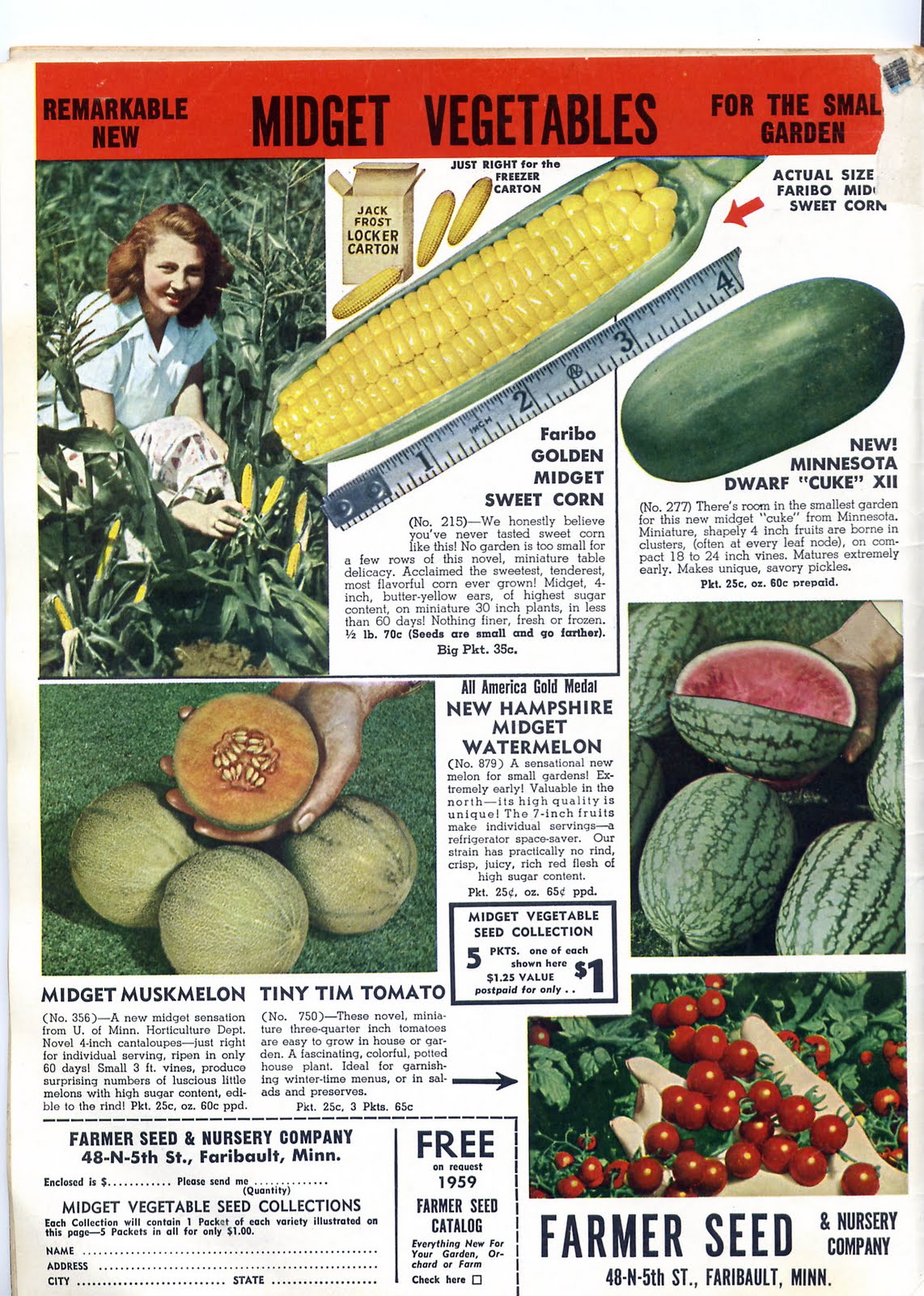 Next Door Laura Postage Stamp Garden? No Problem!