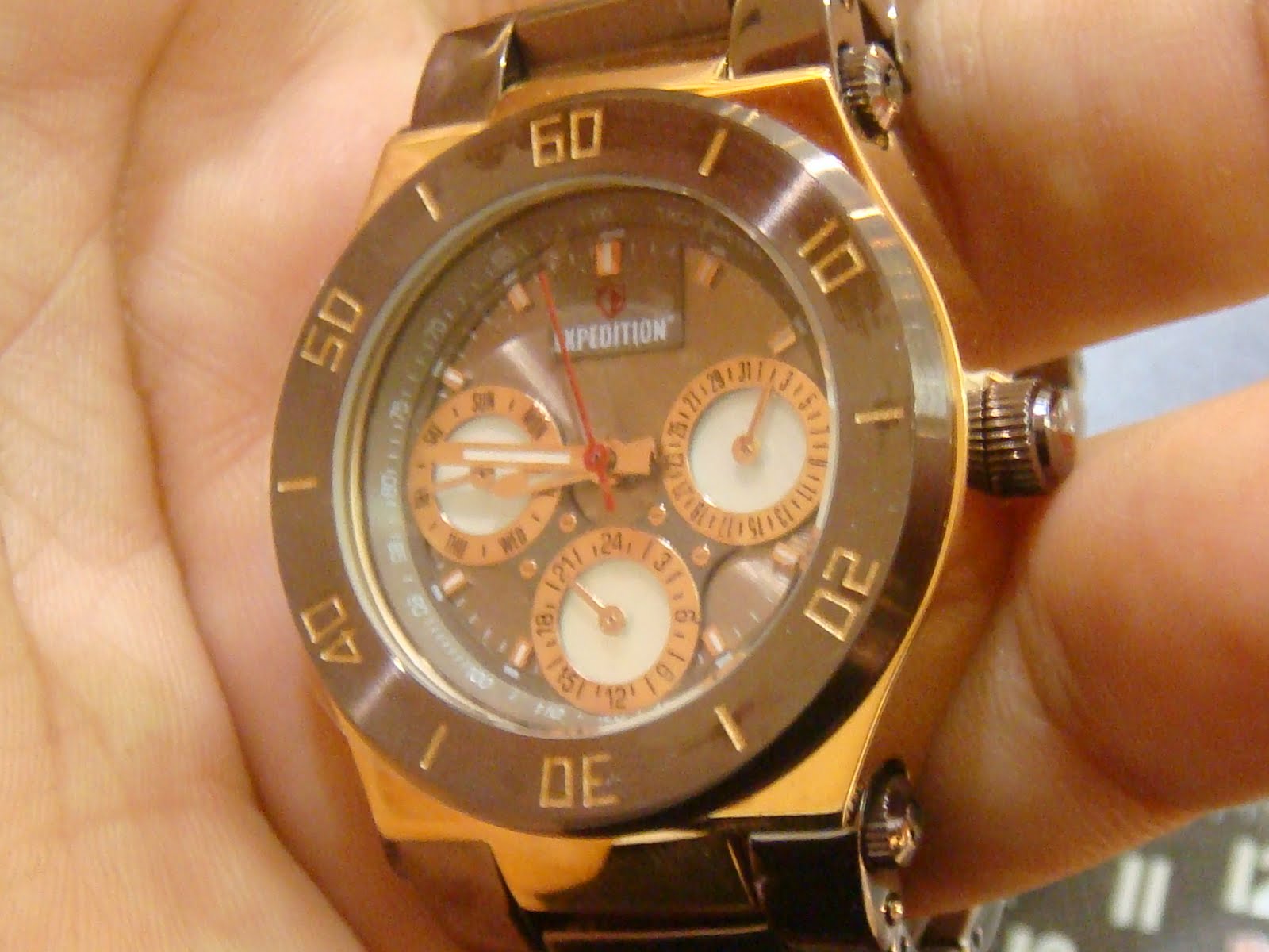 expedition watch origin