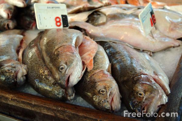 [fish+market.jpg]