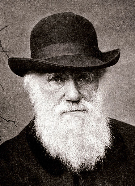 Charles Darwin, teoria: a evolução se dá por meio da seleção natural e sexual.