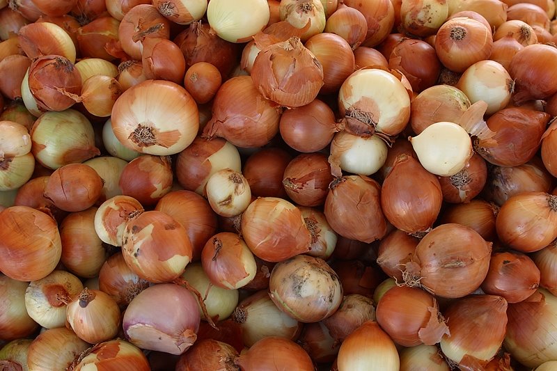 News Station Company converts onion juice to electricity