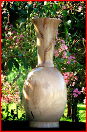 Long neck Vase