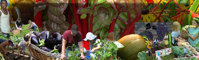 Columbus Community Gardening