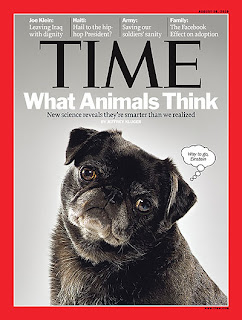 Pug on Cover of Time Magazine