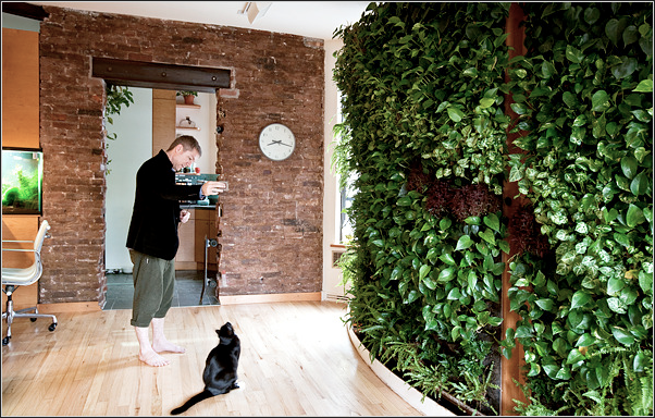DIY Greenwalls: My Greenwall in the New York Times Home Section
