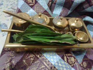 KAYHA AND TOKBU: MERISIK MAWAR