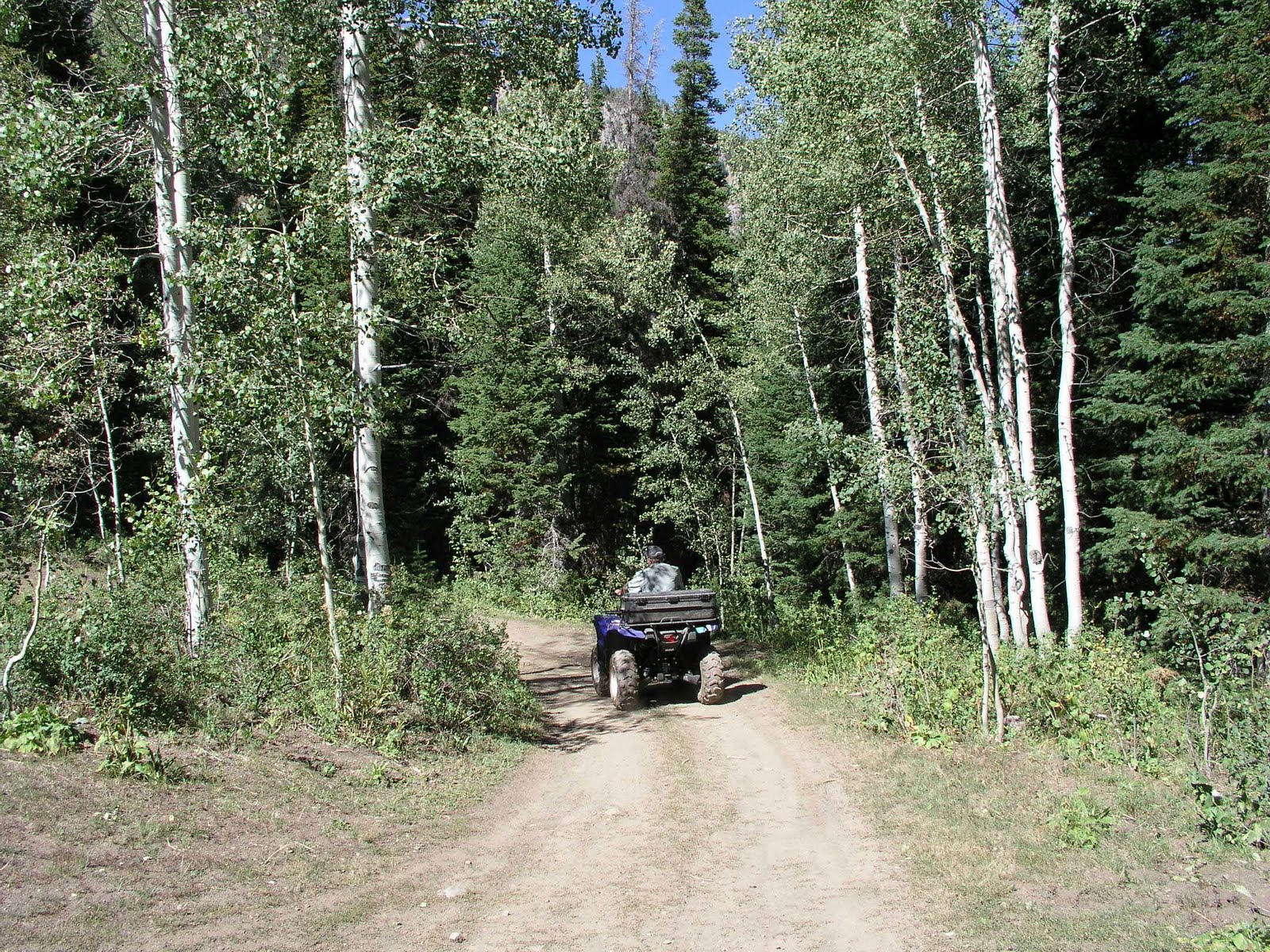 Happy ATV Trails Panorama From Trail 30 South of Smith and Morehouse