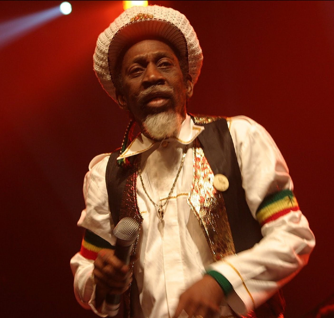 Bunny Wailer Net Worth