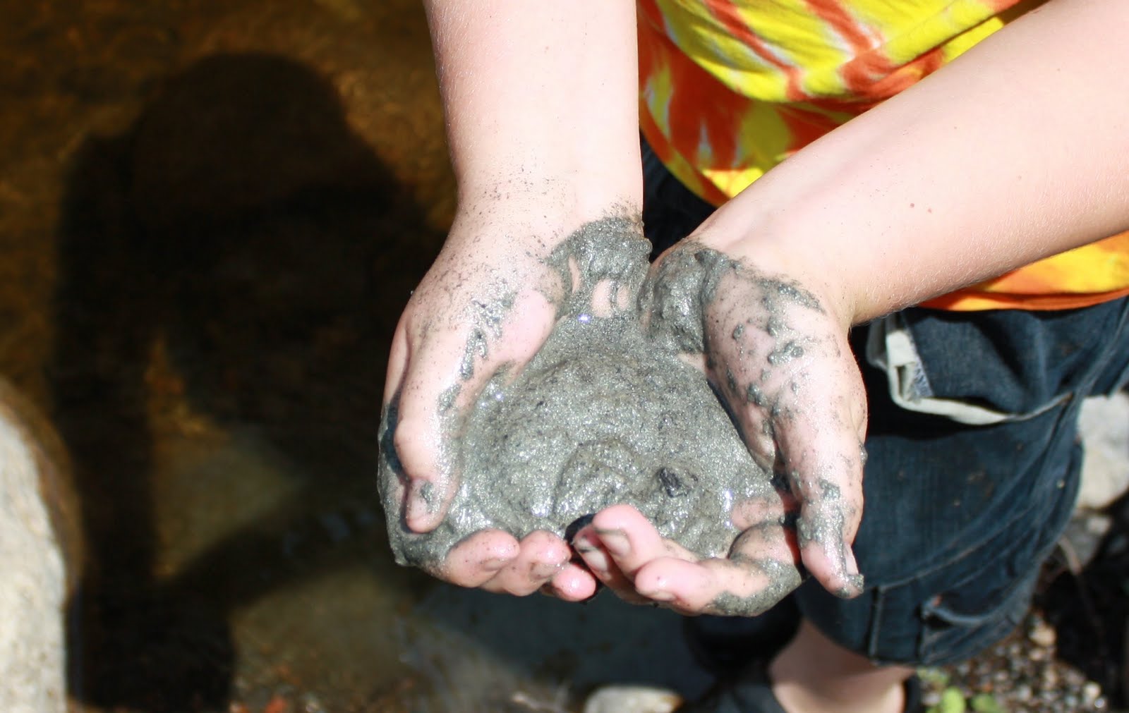Once Upon a Family: Cross rocks, fairy rocks or staurolite crystals
