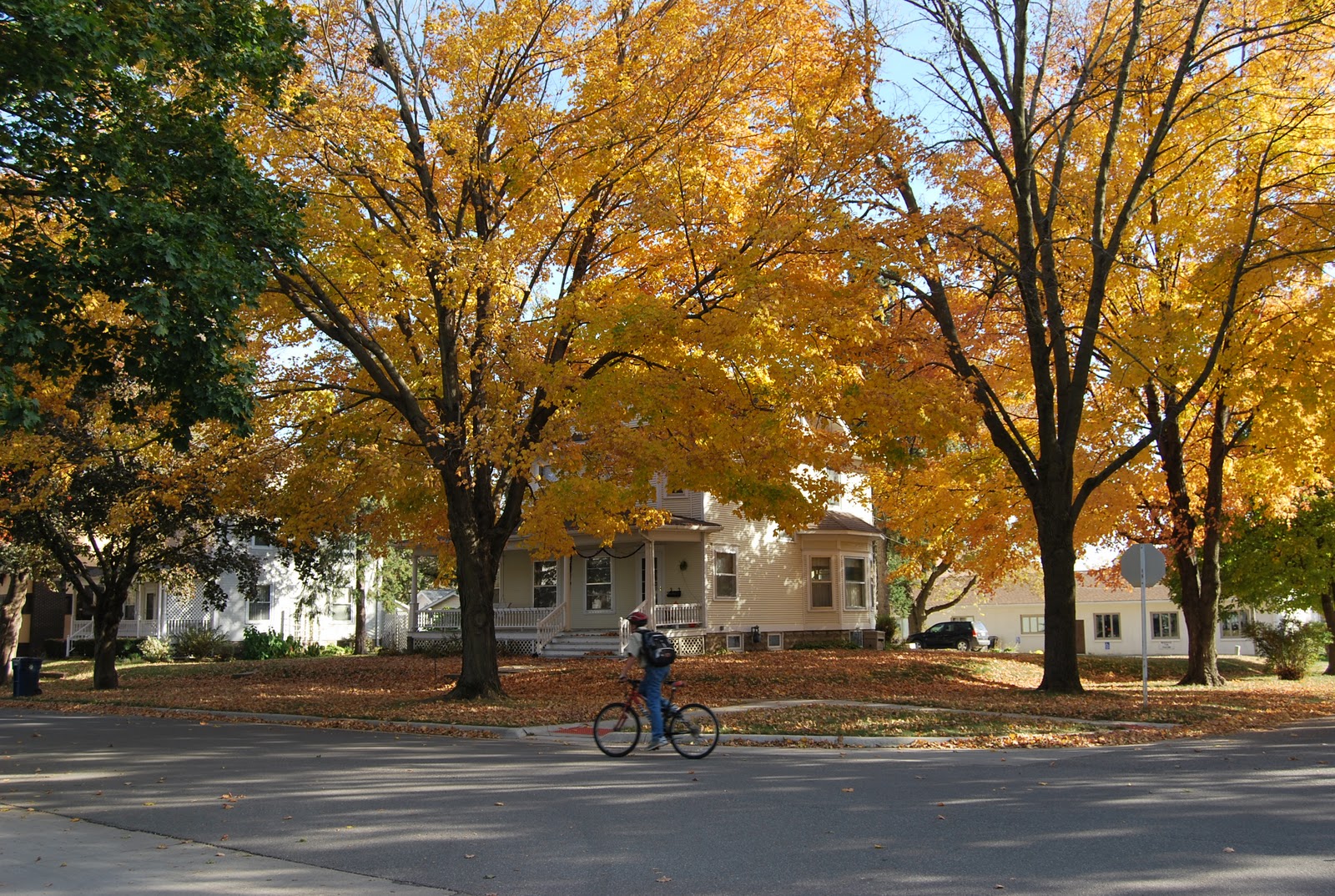 42N Observations Fall Farmers Market in Tipton Iowa