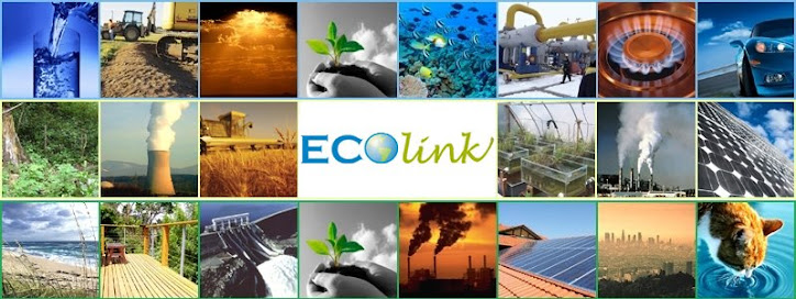 EcoLink