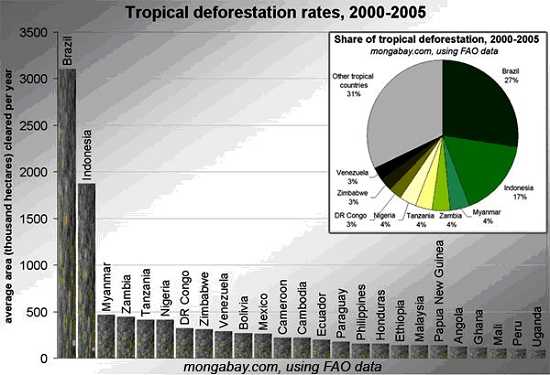 Chart of Deforestation Throughout the World