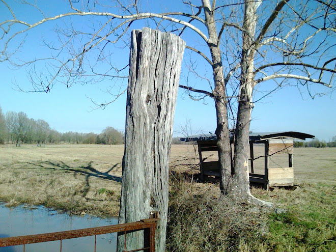 farm photo