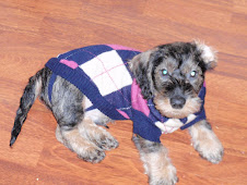 Väinön uudet vaatteet:)