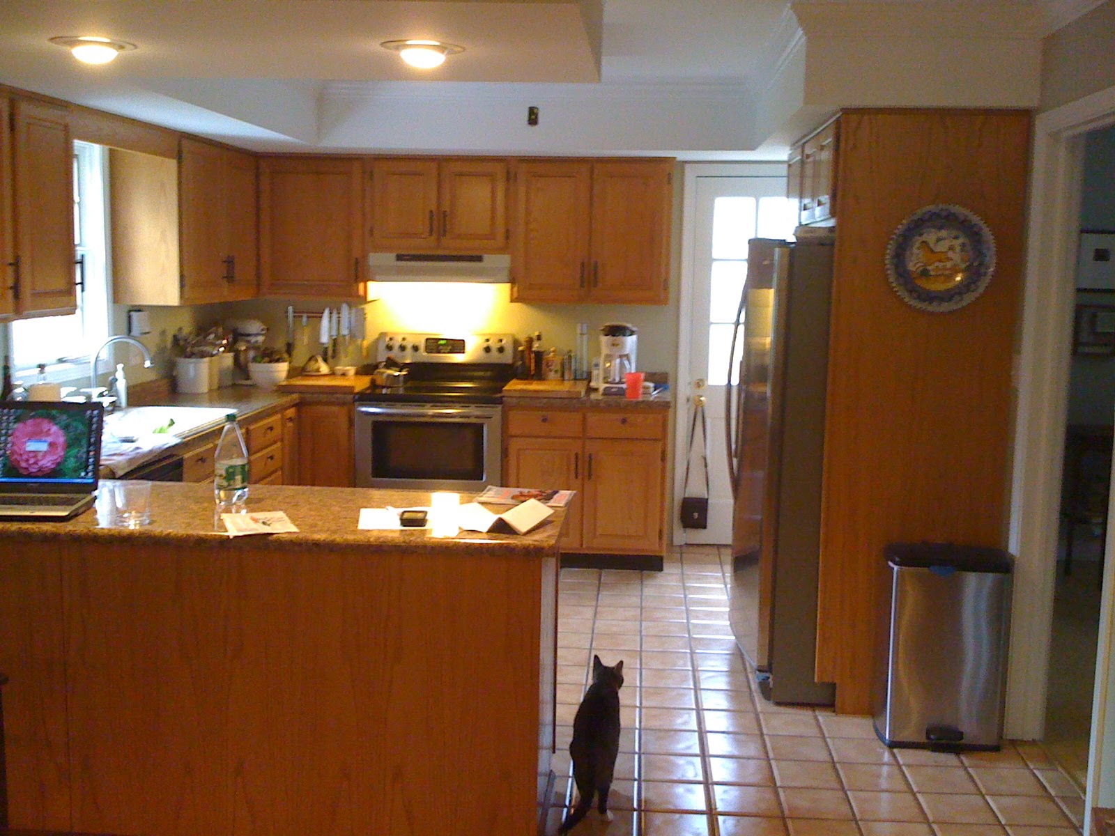 Bloomington Staging and Design: My Bloomington Kitchen Remodel...page 1