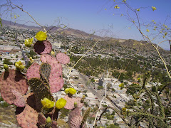 El Carmen en el mes de abril desde las flores del Cerro.