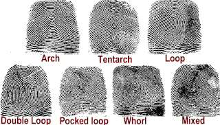 Different types of Fingerprints - Fingerprints!