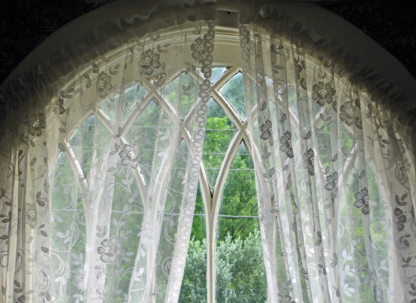 [window.jpg]