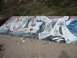 Goleta Beach Graffiti