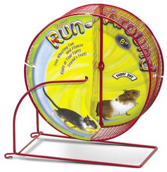 [hamster+wheel+3.JPG]