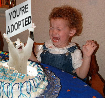 [You're+adopted.jpg]