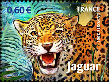 Le Jaguar de Guyane