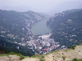 [DSC00241.JPG]