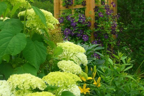 [IMG_8717-714035.jpg]