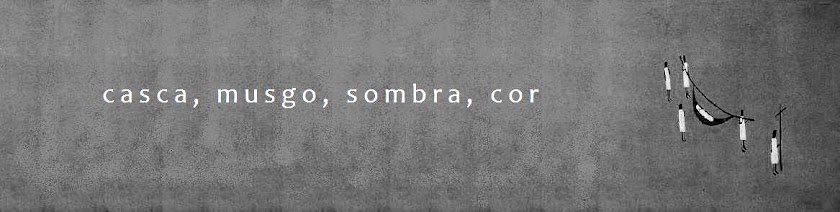 CASCA, MUSGO, SOMBRA E COR