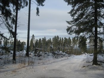 [Ebbe+Dez09_2_1.jpg]