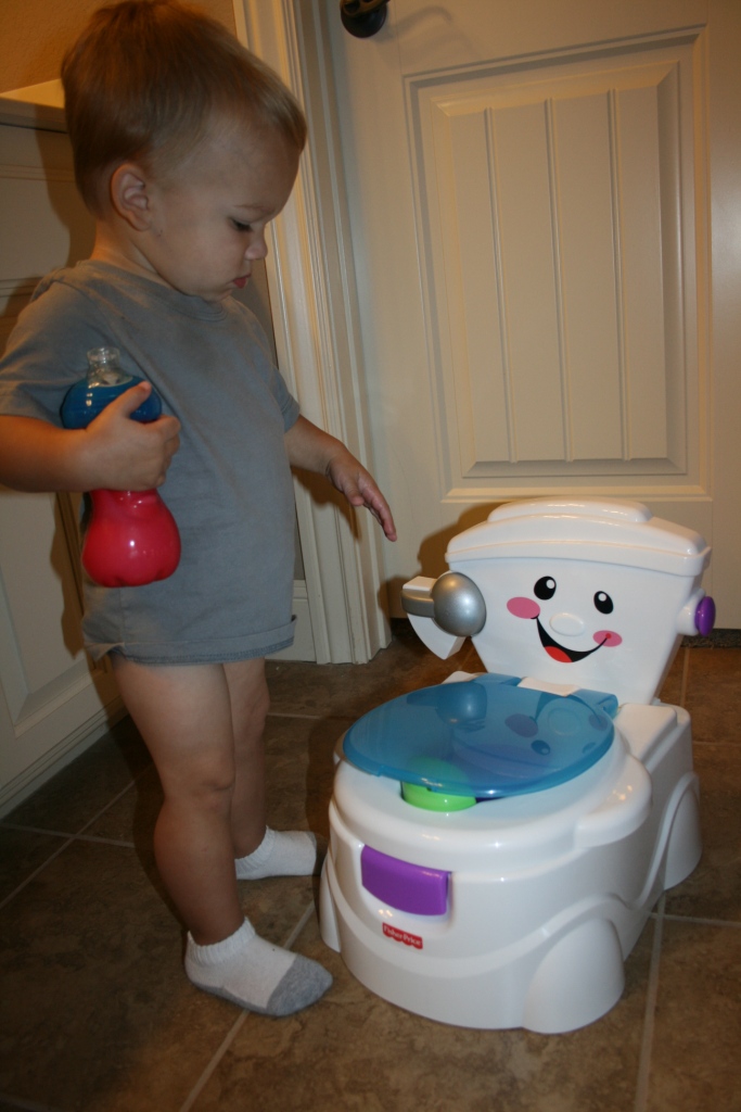 The Summerfords Potty Chair