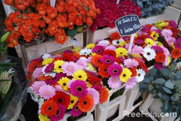 [1450_17_9---Flower-Market--Amsterdam_web.jpg]