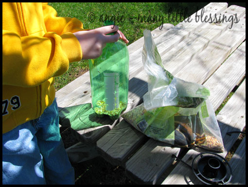 [bird_feeder_2.jpg]