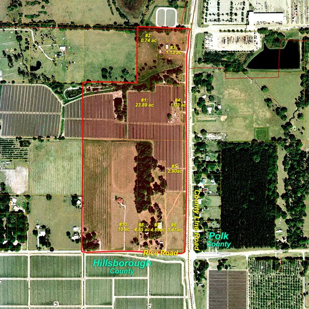 The Florida Land Report For Sale 62.77 +/ Acres HillsboroughPolk