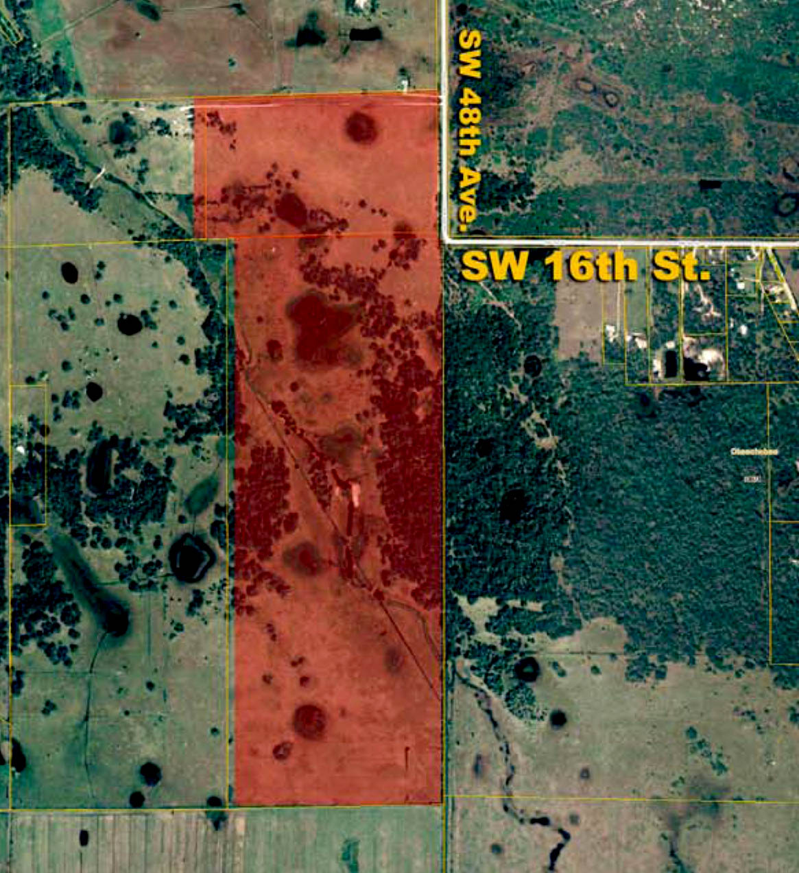 The Florida Land Report For Sale 310.5 +/ Acres Ag or Residential