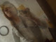 Mi foto