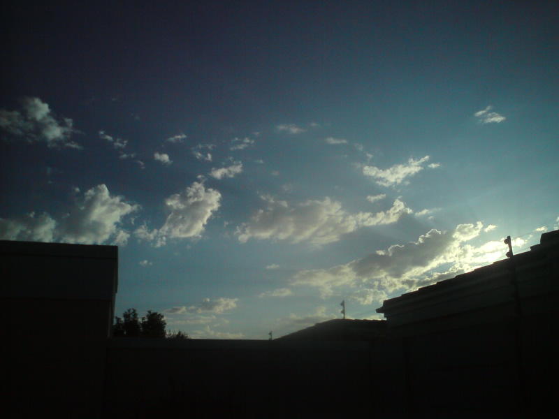 [image-upload-134-741323.jpg]