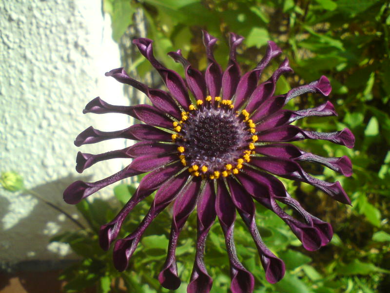 [image-upload-165-703811.jpg]