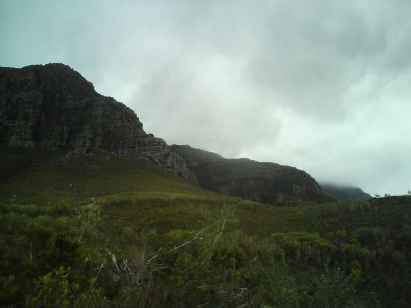 [image-upload-25-714338.jpg]