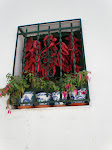 Window with peppers drying, Granada