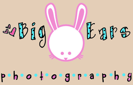 Big Ears Photography Blog