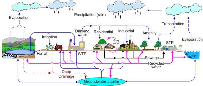 Aqua Cycle: The Water Cycle