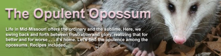 The Opulent Opossum