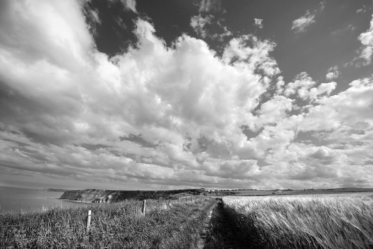 [whitby+16+bw.jpg]