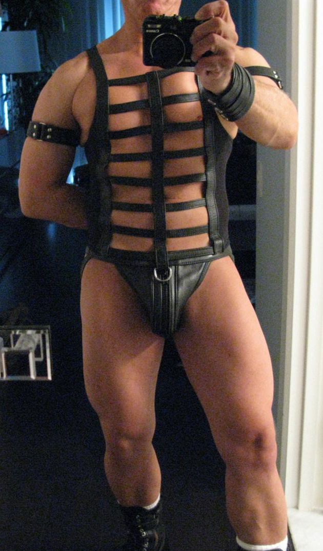 LeatherHarness13.jpg