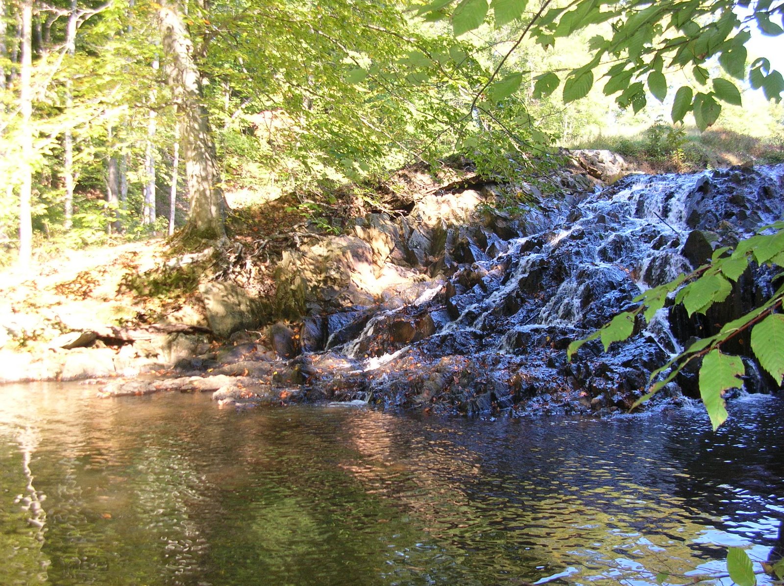 [DSCN4071.JPG]