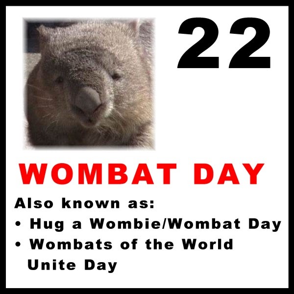 The Red Wombat Hole: Wombat Day! Wombats of the world unite!