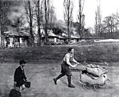 [bomb11-240x195.jpg]